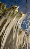 EER-Le-Froid_5695