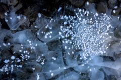 EER-Le-Froid_T8A0981