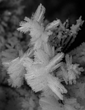 EER-Le-Froid_T8A1054