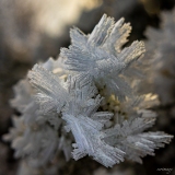 EER-Le-Froid_T8A1074