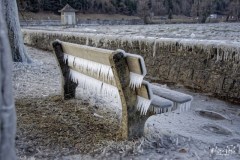 Froid-MT-1