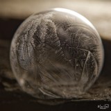 Froid-MT-5
