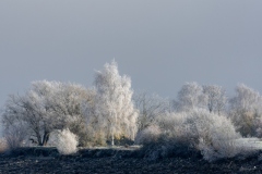 Gav-Froid-3