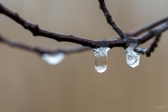 Gav-Froid-4