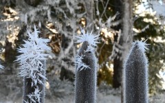 Jog-Le-froid-0174