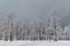 MPT_froid1