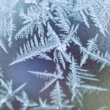 SC-Le-froid-1