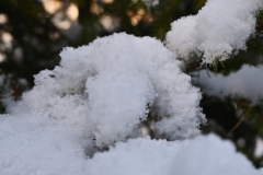 SC-Le-froid-2