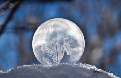 jOSIANE-le-froid-psd