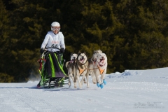 MP-ChienstraineauMOSSES-1