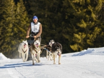 MP-ChienstraineauMOSSES-2