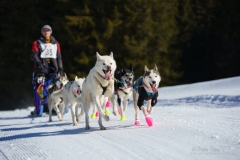 MP-ChienstraineauMOSSES-3