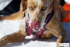 Marc-Torti-col-des-Mosses-3