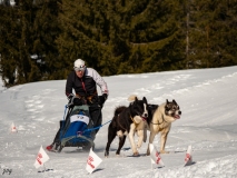 Mosses_Jog-1