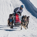 Tintin-col-des-Mosses-1