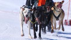 lysiane-C-ol-des-Mosses3