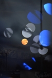 _mt4
