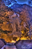 _mt5