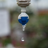SEMA_Jardinerie_Constantin_3