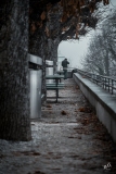 BD_Berne_Noel-1