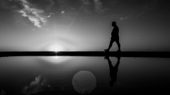 GOM_0653