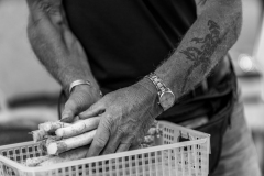 Laurent__mains_Lausanne-3