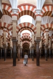 Tintinmosquee-cathedrale-cordoue-1