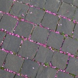 Colore_MartinetSebastien_03
