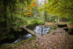 ED_Automne-2