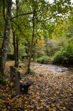 ED_Automne-3