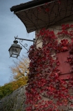 ED_Automne-4