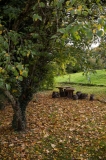 ED_Automne-5
