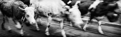 Eric_20221015-RomainmotierL1007523