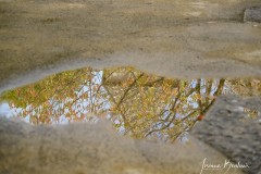 Josianne_Romainmotier-5