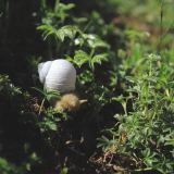 Erwin-IMG_3185
