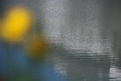 LB-IMG_2049