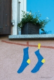 2DSCTintin