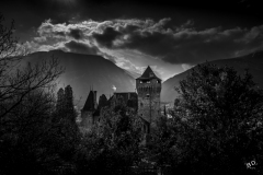BD_Mercier-3