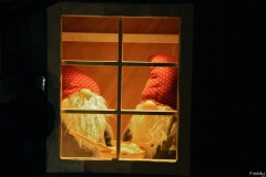 Freddy (1)_GF_GF