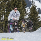 Chiens_mosses (14)