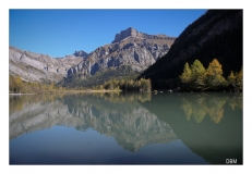 002 2014- DBMphotoclub-2_GF