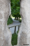 Gruyere (10)_1