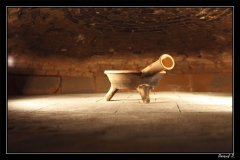 Gruyere (20)_1