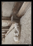 Gruyere (26)_1