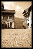 Gruyere (36)_1