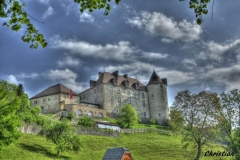 Gruyere (41)_1