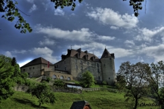 Gruyere (42)_1