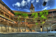 Gruyere (44)_1