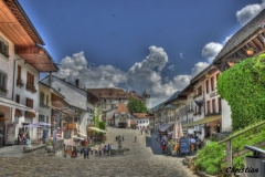 Gruyere (45)_1