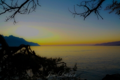 JmLuisier- Chillon 5